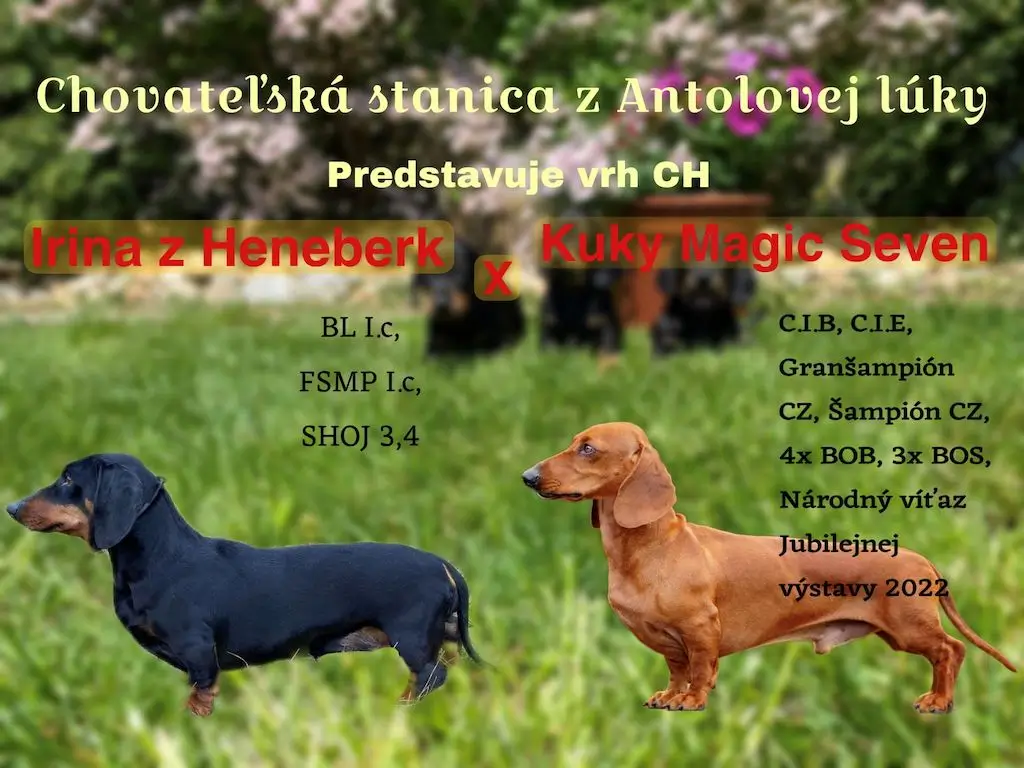 Chovateľská stanica z Antolovej lúky